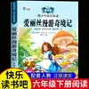 As Aventuras de Robinson Crusoé, um Livro Extracurricular Essencial para Alunos da Sexta Série, Edição Leitura Feliz, Editora Educação Popular, As Maravilhosas Aventuras de Nils