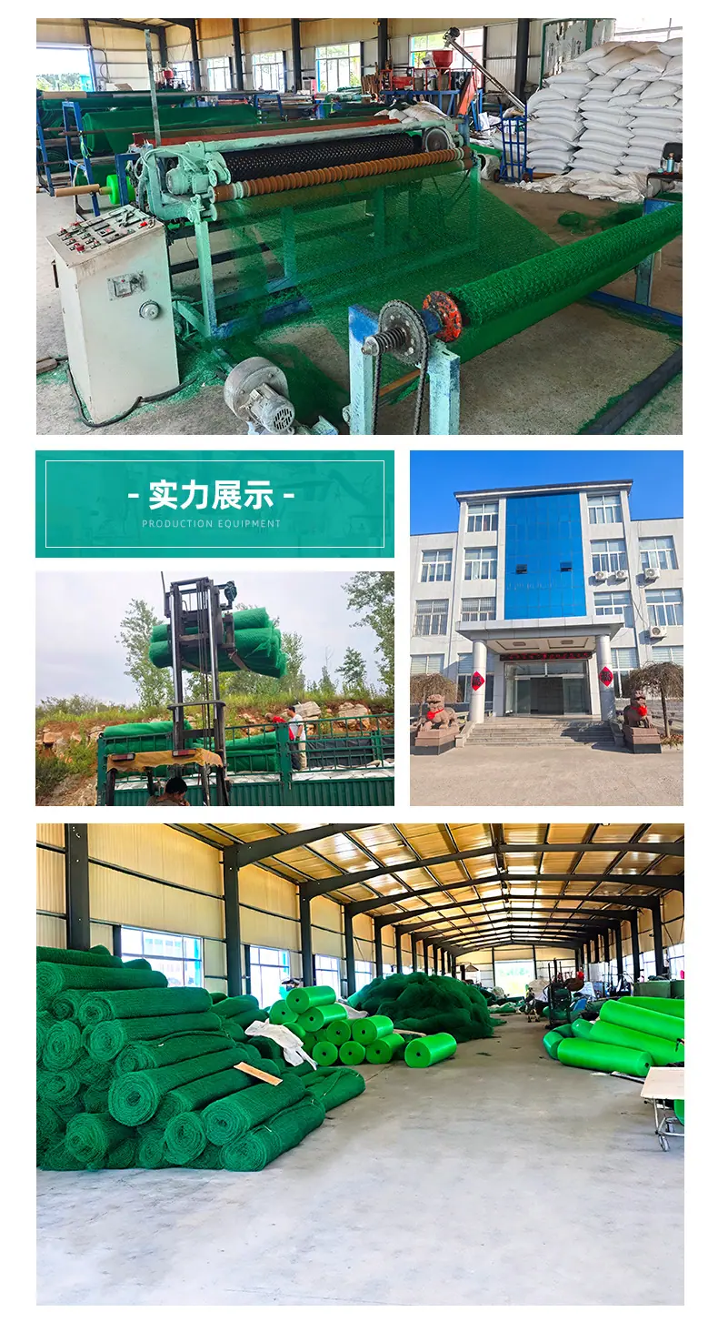 三维植被网_12.jpg