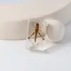 Especímenes Delgados de Insectos Reales, Adornos de Escritorio de Animales Reales, Escorpiones, Tortugas Doradas, Cigarras, Materiales Didácticos para Niños, Manualidades de Resina