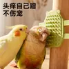 Herramienta para Rascar Loros Goma Suave Cabeza Redonda Se Fija al Borde de la Jaula Juguete para Auto-Rascar Pájaros para Cacatúas y Cotorras Sol