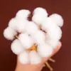 Set de Herramientas para Limpieza de Oídos con Palo de Pluma de Ganso para Limpieza de Oídos Profesional