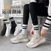 Calcetines de algodón para hombre hasta la pantorrilla, finos, malla transpirable, absorben el sudor, calcetines de vestir para hombre, calcetines deportivos de verano, hechos en Zhuji