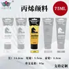 Set de Pintura Acrílica Personalizado de 75 ml, Impermeable y que no se decolora, Adecuado para Pintura DIY en Estudio, Se puede imprimir con logotipo