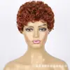 Europa y Estados Unidos Transfronterizo Peluca de pelo corto rizado 350# para mujer Pelucas africanas rizadas pequeñas esponjosas venta al por mayor