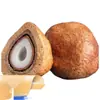 Fruta Bodhi Fruta Coração de Buda Semente original da Malásia cor de fruta velha pingente de colar de fruta grande cabo vermelho da fruta original