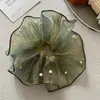 Goma para el pelo de encaje francés, un accesorio para el cabello de alta gama para mujer, perfecto para crear un moño o una cola de caballo elegante. Es un coletero delicado y elegante, disponible en tamaño grande