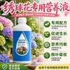 Solución Nutricional Especial para Hortensias para Brotación y Enraizamiento Fertilizante Fertilizante Especial para Plantas de Maceta de Hortensia Solución Líquida Fertilizante