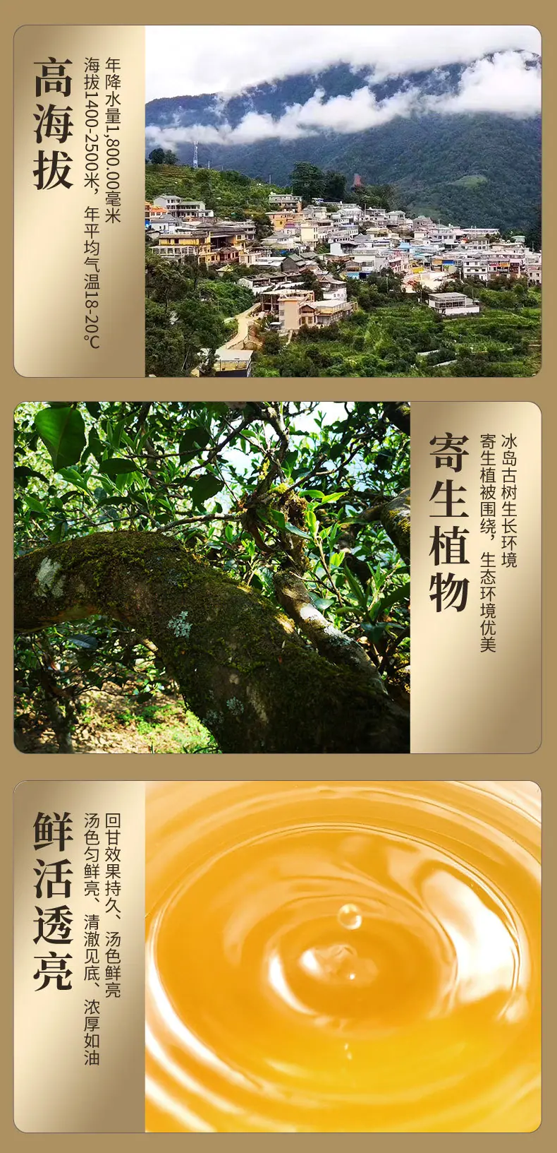 2012年冰岛生茶_03.jpg
