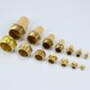 Silenciador de cabeza larga de cobre cabeza plana de latón válvula solenoide neumática reductor de sonido 1 minuto 2 pulgadas junta de filtro