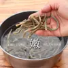 Frijoles secos sin cocer, frijoles caritas secos, frijoles secos frescos de granja, ejotes, verduras deshidratadas, peso neto a granel