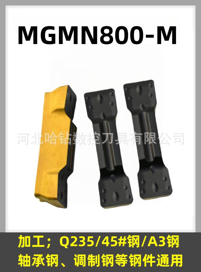 MGMN800-M HS8125