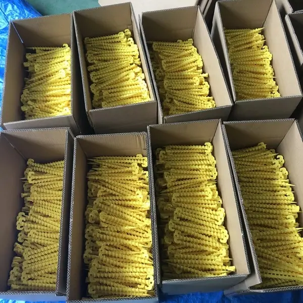 20211024183913.jpg