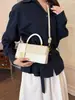 Bolso pequeño cuadrado de alta costura modelo 2026 nuevo bolso casual simple para mujer bolso de hombro cruzado moderno para ir al trabajo y llevar en la mano