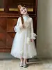 Vestido de Princesa Infantil de Manga Longa, Vestido de Tule com Babados Florais para Meninas, Vestuário Infantil de Comércio Exterior Transfronteiriço