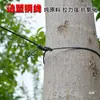 Acero plástico alambre invernadero a prueba de pájaros ñame calabaza amarga lufa uva fruta de la pasión pepino vid trepadora nylon cable de tracción agricultura
