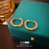 Brincos Geométricos Minimalistas Gota de Óleo Vintage para Mulheres, Únicos e Estilosos, Coleção Outono/Inverno, Acessórios de Orelha de Moda de Luxo Leve