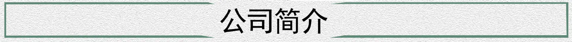 公司简介
