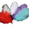 Decoración floral, pluma de avestruz, pluma de color, materiales de embalaje para flores, accesorios para ramos, suministros de floristería, paquete, colocación de flores