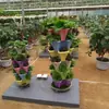 Proyecto de invernadero de vidrio, invernadero moderno de múltiples vanos, fabricación y construcción de estructura de acero para instalación agrícola