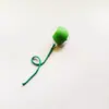 Bola Brinquedo para Gato, Bola de Auto-Prazer, Pelo de Gato Pet para Aliviar o Tédio, Bola para Gato, Brinquedo para Gato, Brinquedo para Pet Venda Direta da Fábrica