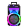 Gy-1209 Atacado de Fábrica Alto-falante Grande Único de 12 polegadas Áudio Bluetooth 40W Alta Potência Microfone Sem Fio Alto-falante
