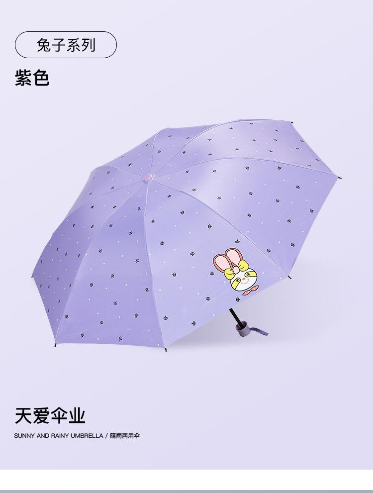 详情3 (13).jpg