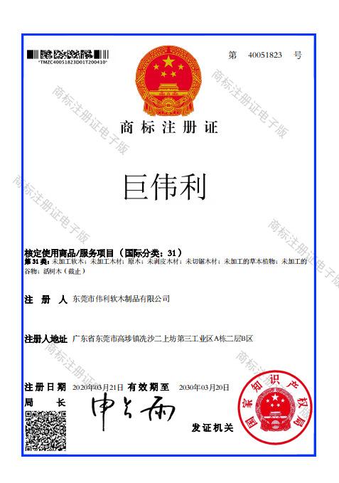 商标证1