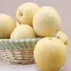 Peras Frescas Corona de Hebei 5kg Frutas de Temporada: Peras Pato, Peras de Nieve, Peras Dangshan, Peras Corona Verde, Caja Completa