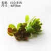 Planta pequeña verde creativa planta de simulación micro paisajismo flor de plástico hierba artificial planta de fondo suculenta material DIY