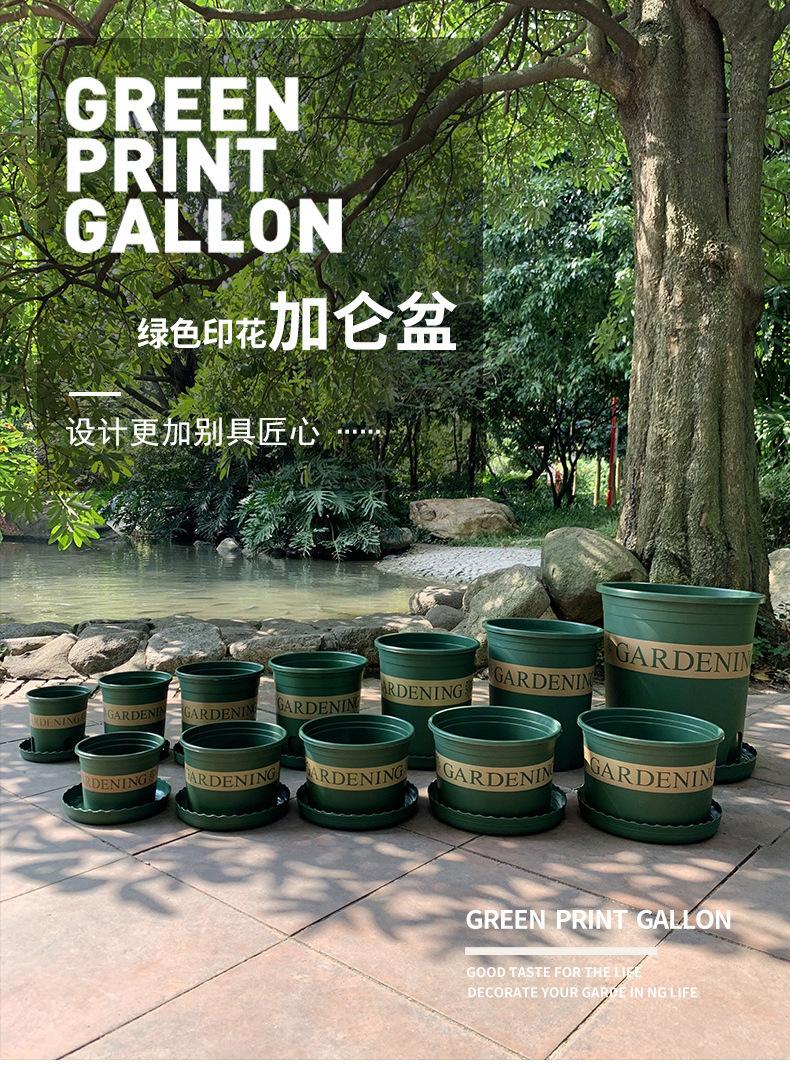 控根加仑盆详情新_01.jpg