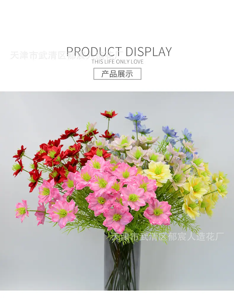 详情_05.jpg