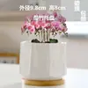 Vasos de Flores Cerâmicos Atacado com Pratos para Uso Doméstico, Vasos de Flores Suculentas Estilo Simples Ins Luxo Leve Estilo Creme, Dropshipping Disponível