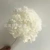 Flor Preservada Haste Única Hortênsia Anna Anna Folha Pequena Bella 40 Cores Personalizado Atacado Presente Dia dos Professores