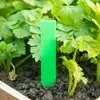 Etiqueta Engrosada con Forma Única Etiqueta Carnosa Etiqueta de Correa Verde de Plástico para Jardín Plato de Plántulas para Jardín
