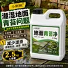 Removedor de musgo para pisos de cemento, una solución especial para eliminar musgo y limpiar algas verdes de estanques, peceras y pisos