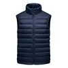 Chaleco de plumón nuevo Otoño/Invierno 2021 para mujer, corto, ligero, cálido, con cuello alto, chaqueta de moda casual
