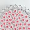 Explosiones de trémolo luminosas rosa rosa joyería para uñas flor de simulación bolsa de materiales para uñas al por mayor