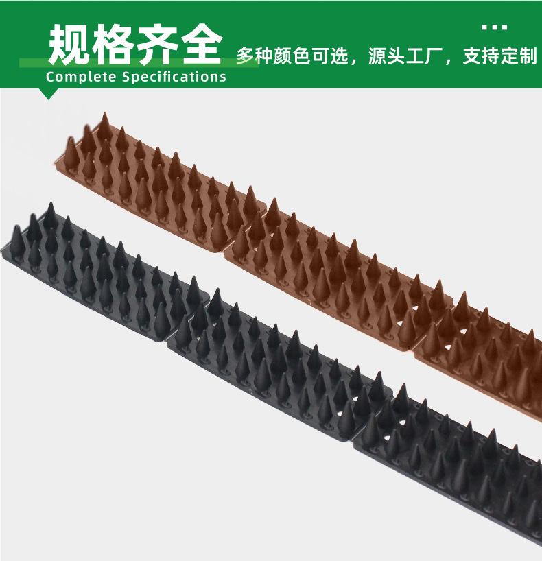 矮鸟刺详情_10