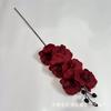 Flores Artificiales de Venta Caliente Transfronteriza, Flores Artificiales de Orquídea de Seda de 6 Cabezas para Decoración de Escena