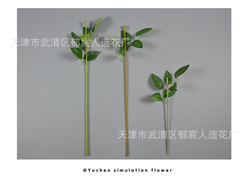 详情_12.jpg