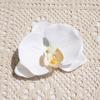 Cabeça de flor Phalaenopsis tamanho pequeno flor artificial flor falsa chapéu sapatos de praia roupa flor decorativa feita à mão material para flor DIY