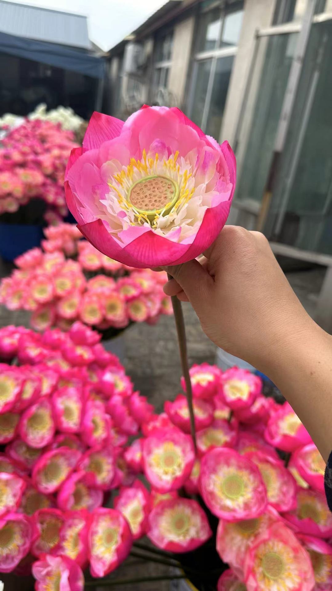 微信图片_20240929180105.jpg