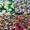 Parede de Fundo com Flores para Casamento Simulação de Parede de Flores Gramado Loja de Shopping Janela Porta Cabeça Decoração de Jardim Parede de Plantas Simulação Flor Artificial