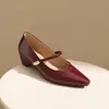 Zapatos Mary Jane de punta gruesa estilo francés para mujer, nuevo modelo primavera y otoño 2026, versátiles y delicados, adecuados para combinar con faldas, zapatos de vestir elegantes