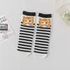 Calcetines de comercio exterior transfronterizos estilo académico coreano japonés para mujer, lindos calcetines de gatito de dibujos animados para otoño e invierno, fabricantes al por mayor
