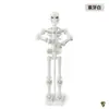 Modelo de Cráneo Tridimensional Juguete Ensamblable Muñeca Móvil Multiariculada Muñeca Esqueleto Articulada Adornos Juguete de Bromista