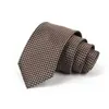Gravata Masculina para Negócios, Banquete, Uso Casual, Gravata de Luxo, Estampa Jacquard de Seda Poliéster, Logo Bordado, Atacado Personalizado
