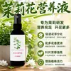 Solução nutritiva concentrada específica para jasmim para flores de jasmim pendentes, fertilizante líquido universal para promover o crescimento de flores, raízes, folhas e botões