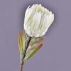 Simulación Sudáfrica Princesa Flor Imperial Moderna Simple Decoración de Flor de Simulación Flor Falsa Punto Mayorista Flor de Simulación Dominante