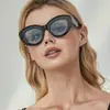 Óculos de Sol Antirreflexo Moda Europeia e Americana 2022 Novo Transfronteiriço Óculos Tendência para Fotografia de Rua Retrô Venda Direta da Fábrica